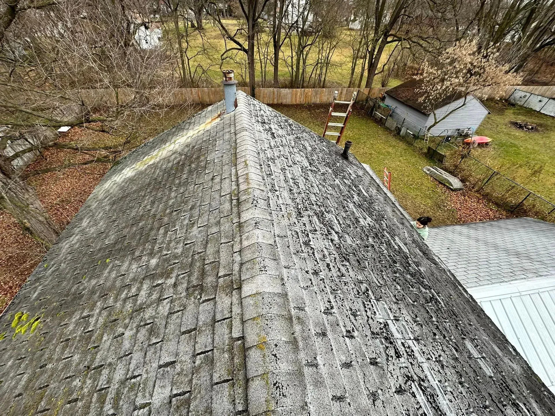 Aerial view of a weathered shingled roof beside trees and a shed in a yard.
