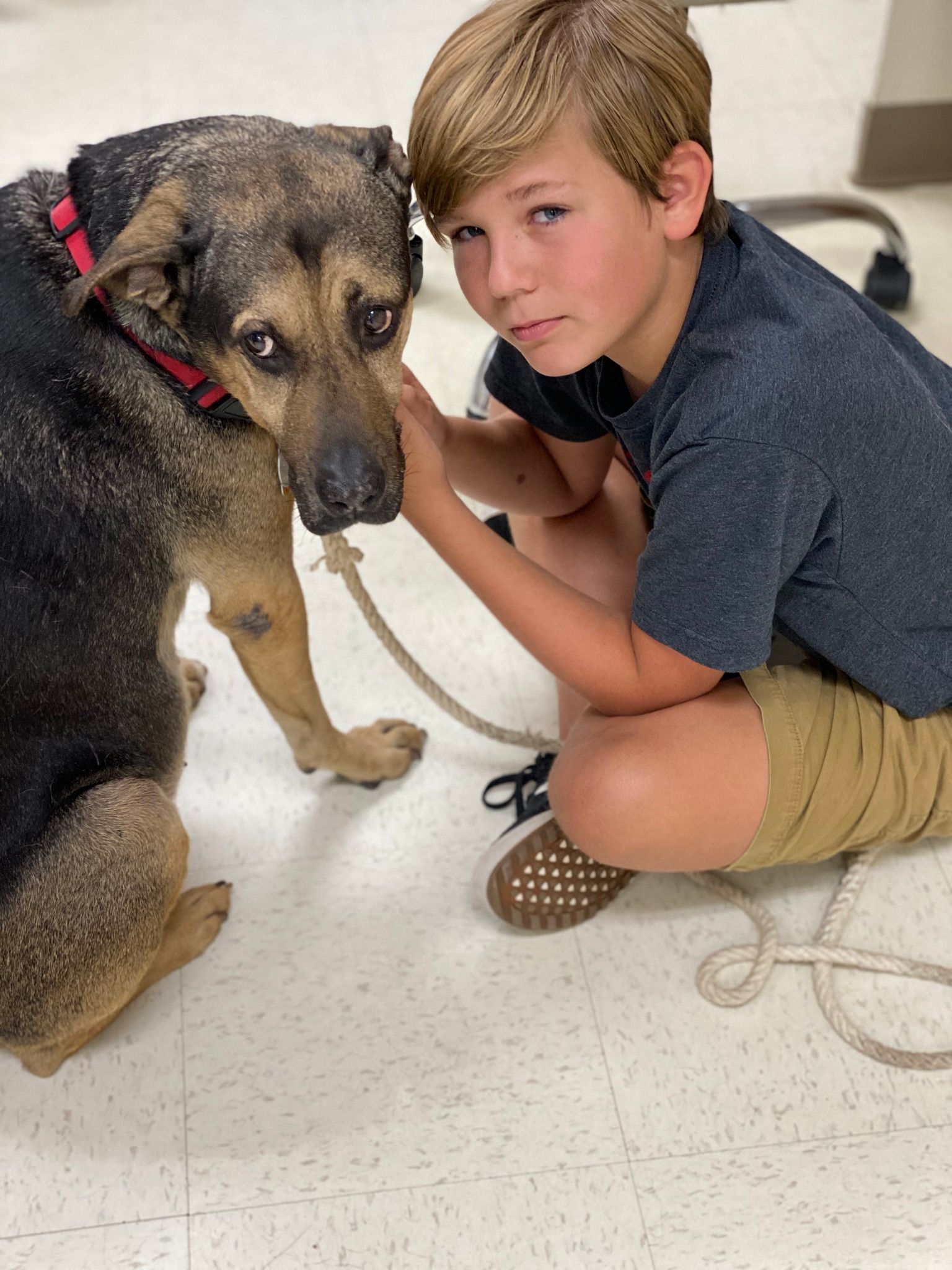 Boy kneeling beside a black-and-tan dog on a tiled floor, gently holding its face