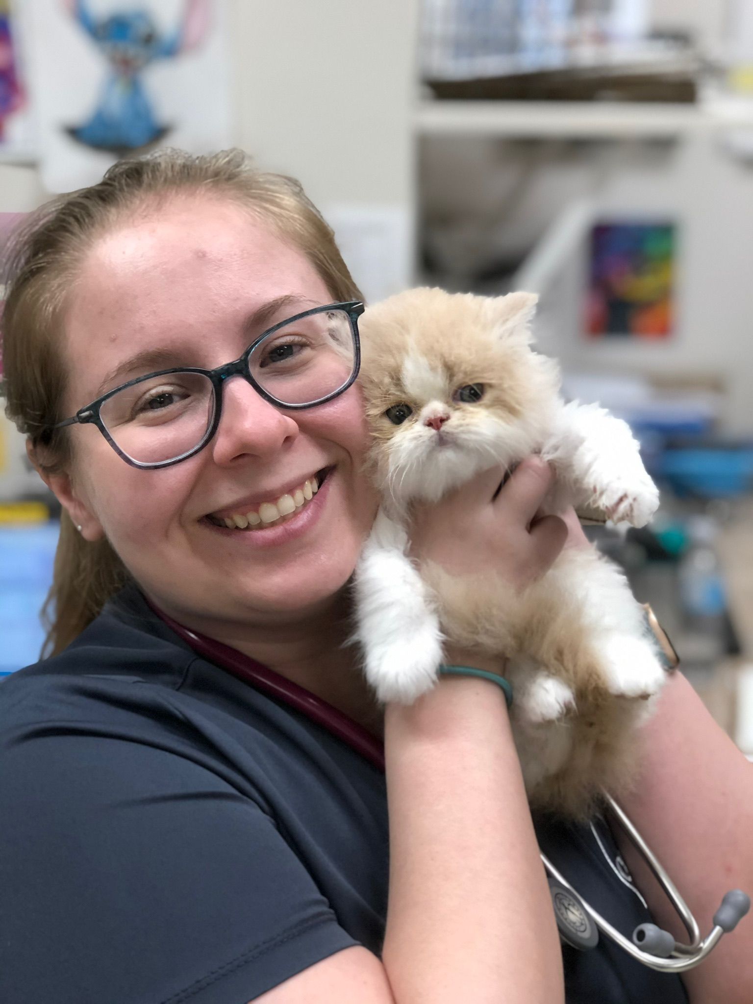 Smiling person in glasses holding a fluffy cream kitten in a veterinary clinic