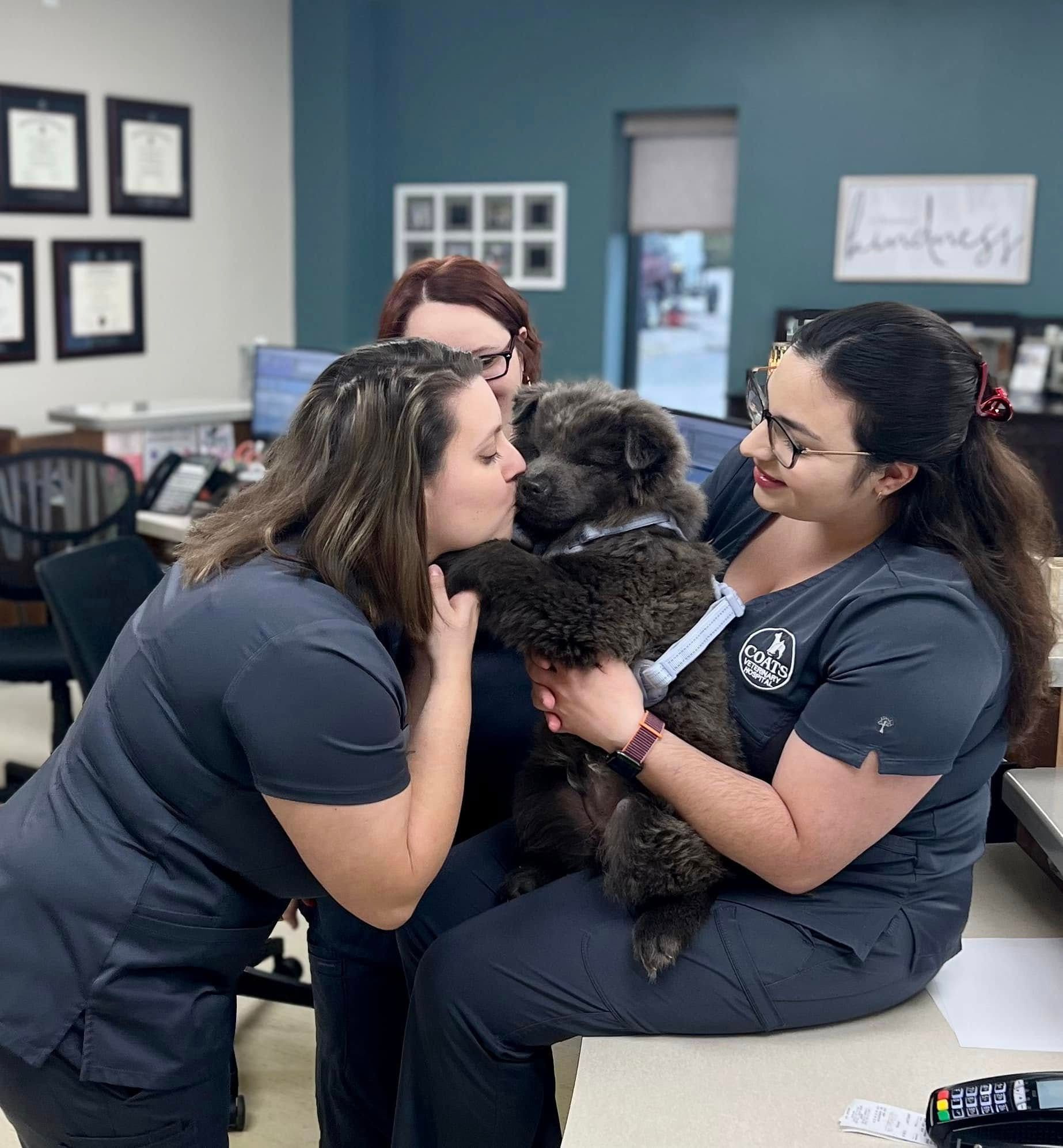Three women in navy scrubs smiling while one kisses a small black dog in a clinic waiting room