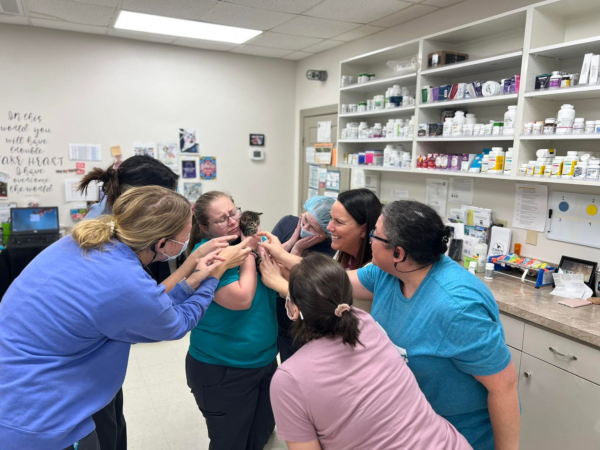 Veterinarians and staff gathered in a lab, leaning in and smiling while looking at a kitten in the center.