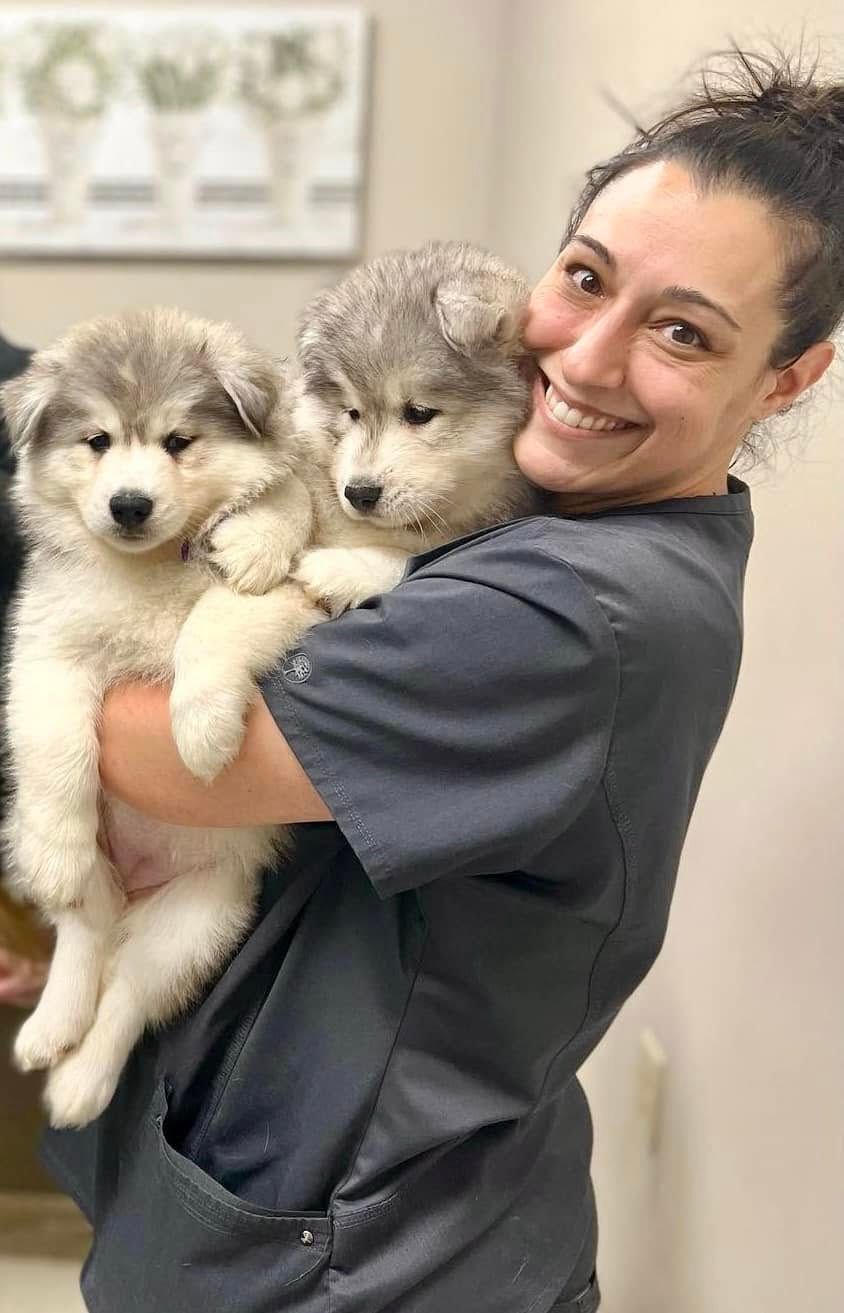 Woman in gray scrubs holding two fluffy puppies, smiling indoors