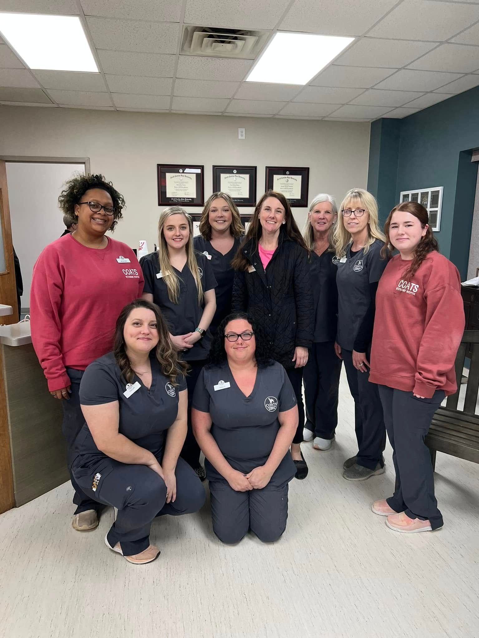 Group of nine veterinarians and staff posing in an office hallway, with framed certificates on the wall.