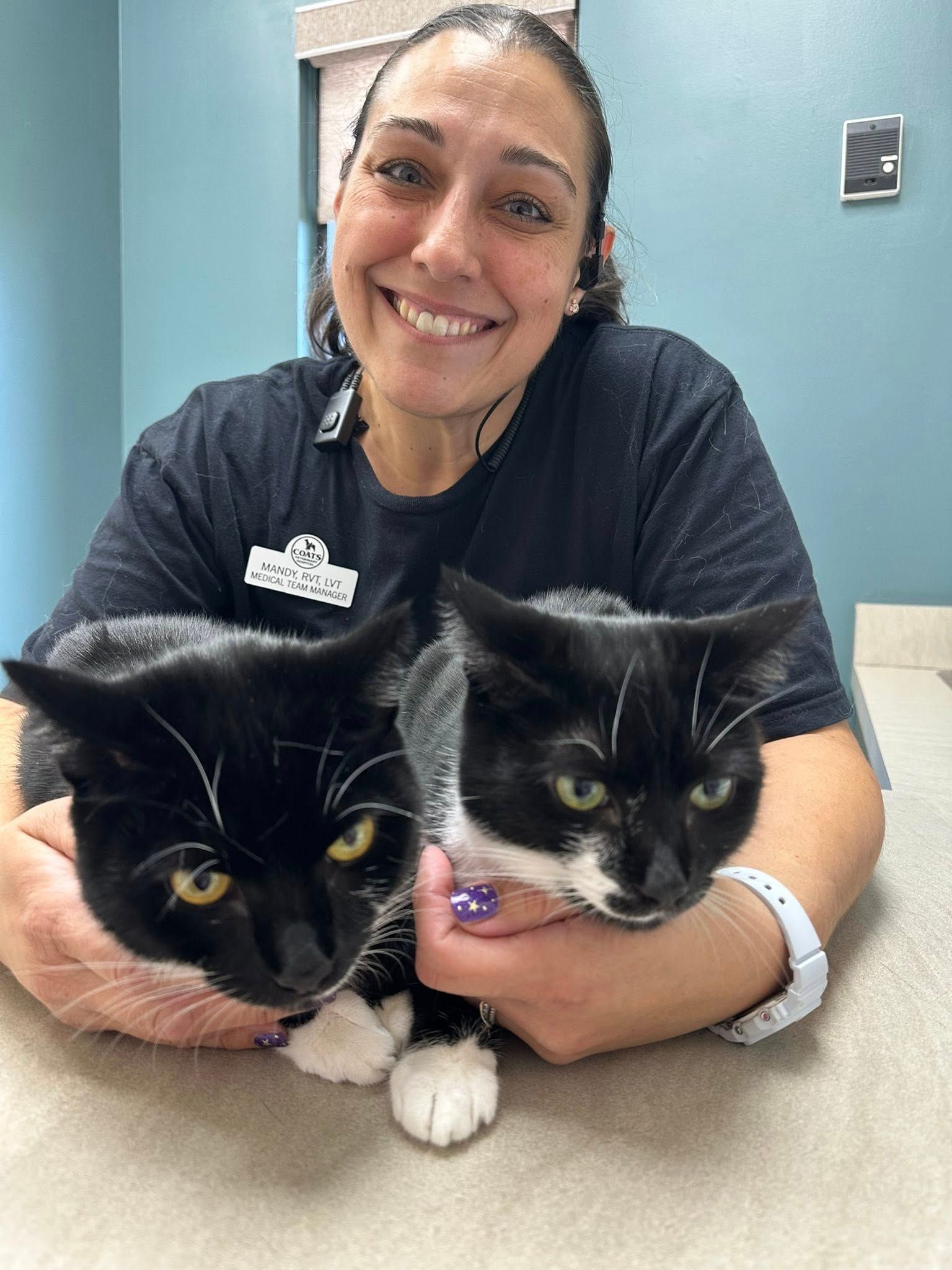 Smiling vet with two black-and-white kittens on a table in a clinic room