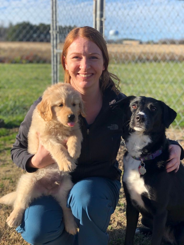 Woman kneeling with two puppies outdoors, one golden and one black, in front of a chain-link fence