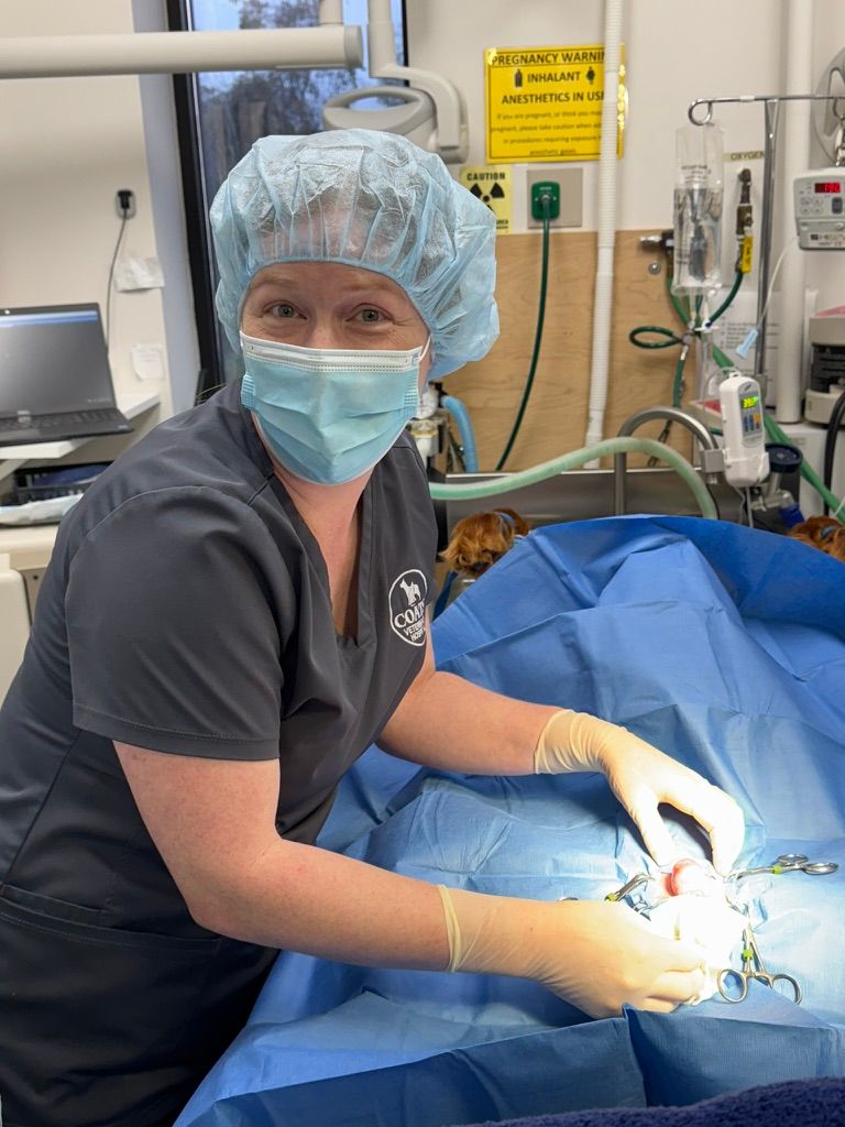 Dentist in blue scrubs and mask working on a patient in a dental clinic, with bright exam light.