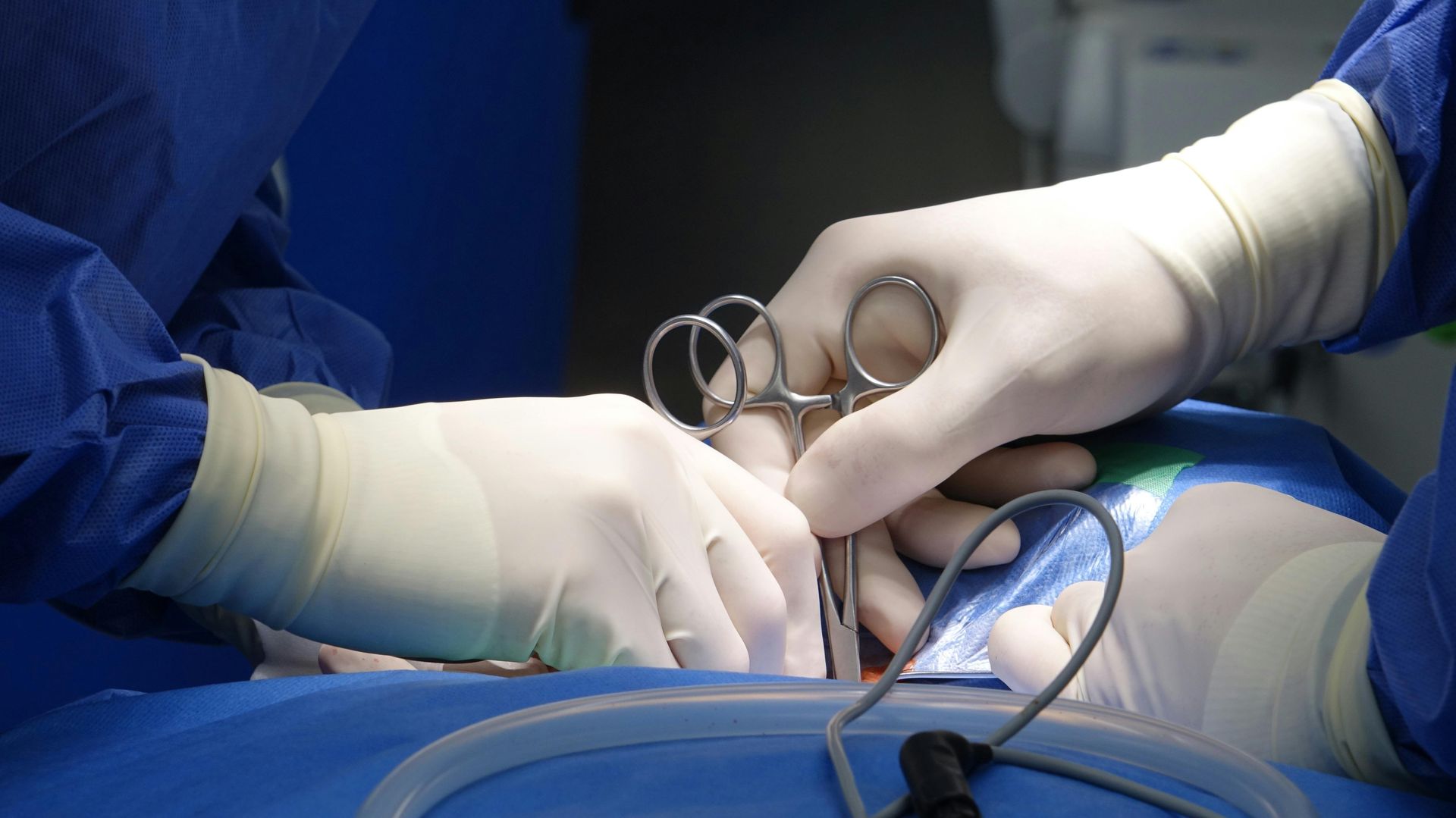 Gloved hands perform surgery with forceps and a retractor on a patient draped in blue in an operating room