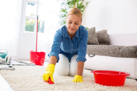 Attractive housewife cleaning carpet with brush and doing housework