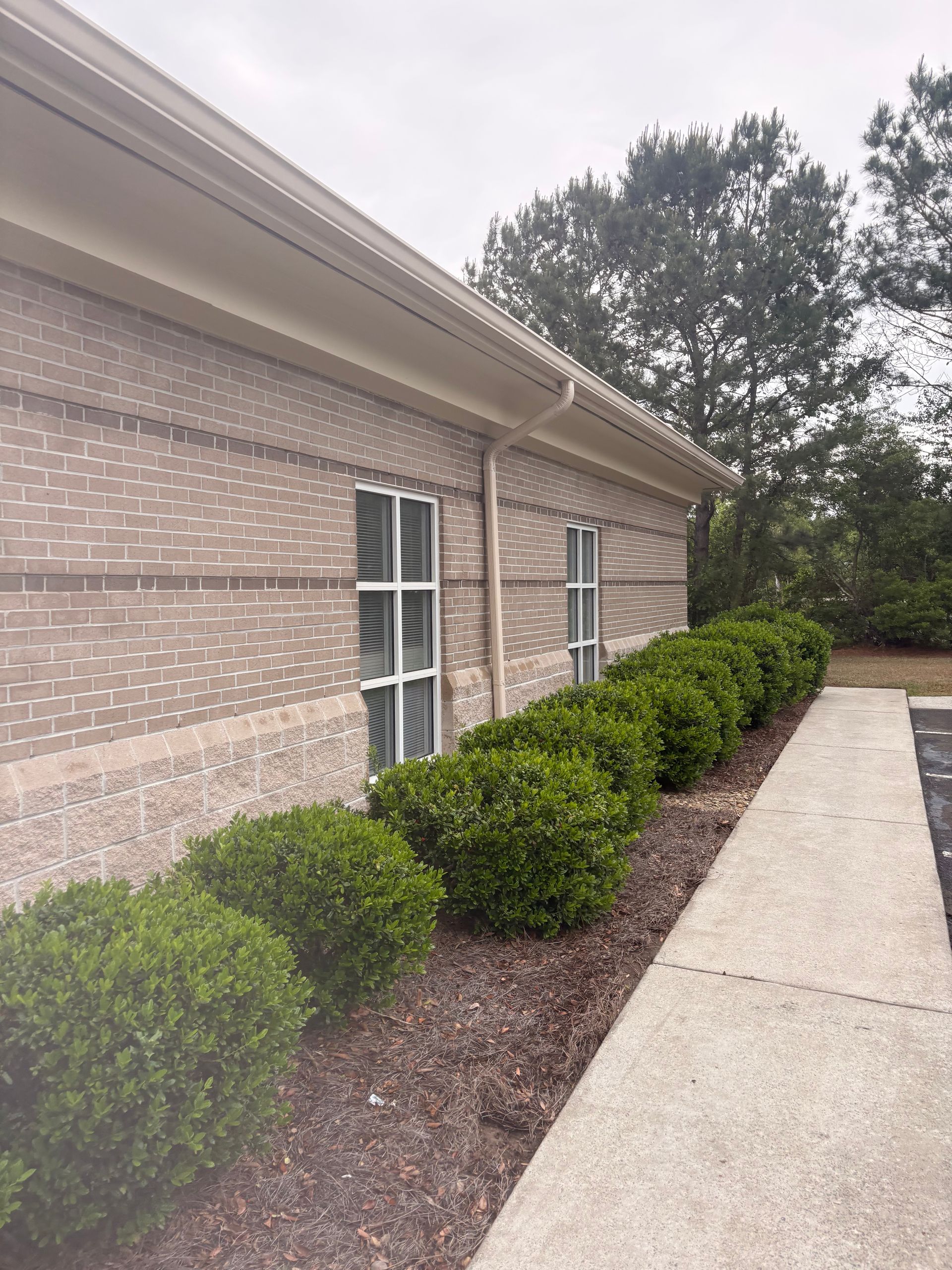 Brick building exterior with white-trimmed windows, neatly trimmed hedges, and a concrete walkway