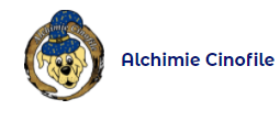 ALCHIMIE CINOFILE logo