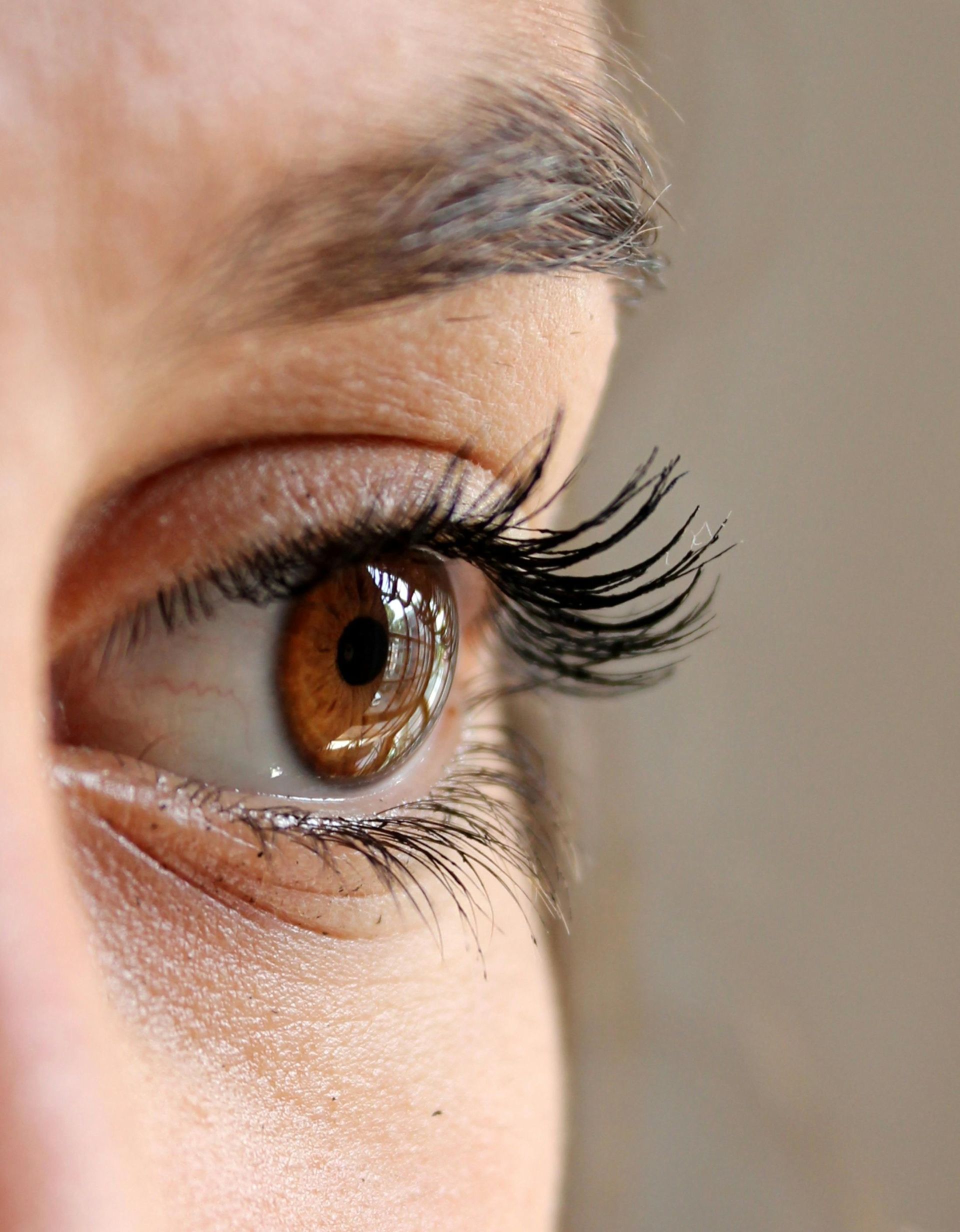 Close-up of a brown eye with long, dark eyelashes looking to the side.