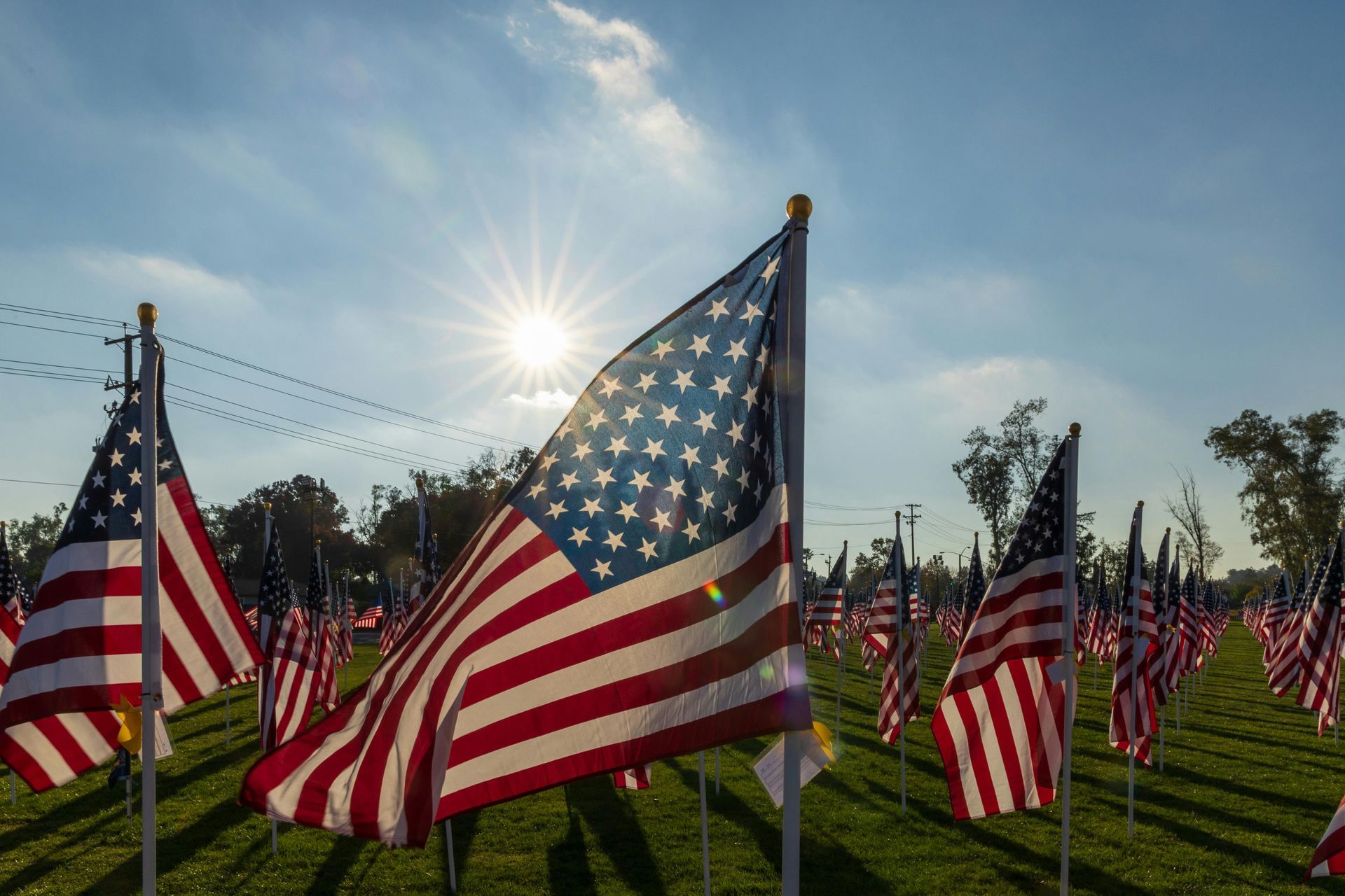 American flags waving in a field, sun shining brightly overhead.