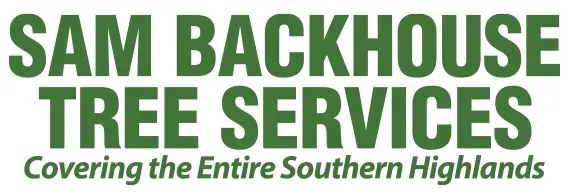 Tree Removal Southern Highlands Tree Removal Southern Highlands