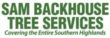 Tree Removal Southern Highlands Tree Removal Southern Highlands