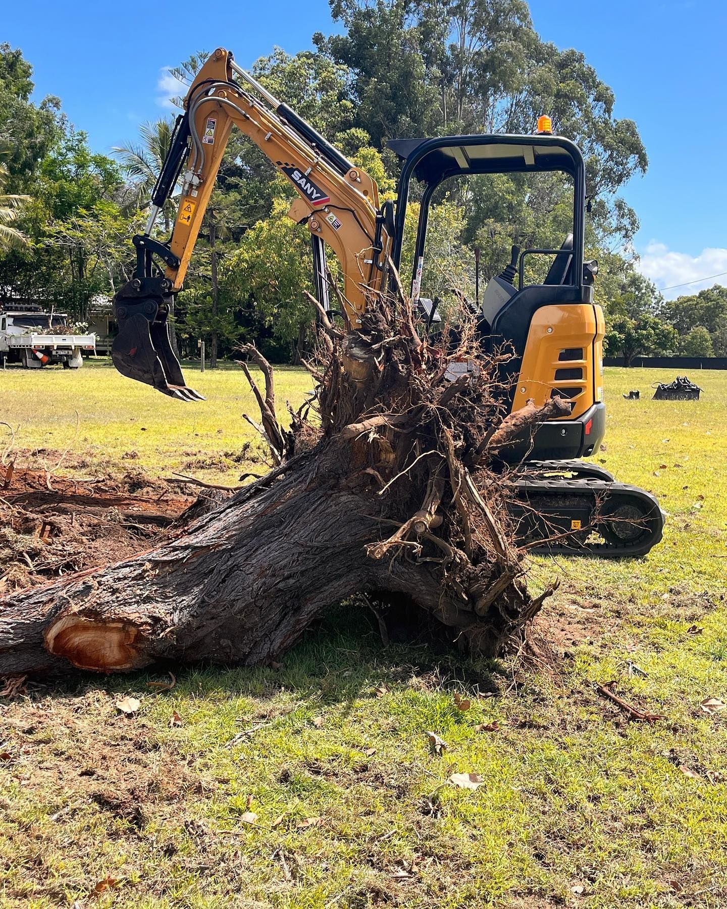 Yellow Excavator Removing a Tree Stump in a Grassy Field on a Sunny Day — All Access Mini Earthworks  in Innes Park, QLD