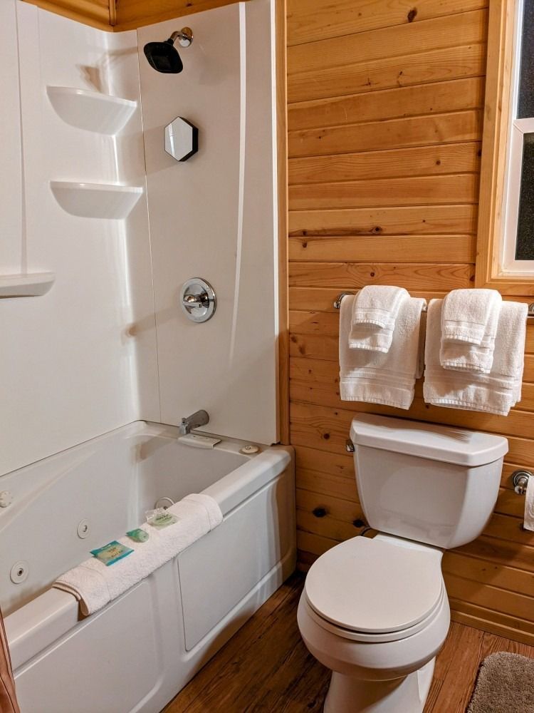 A bathroom with a toilet , bathtub and shower.