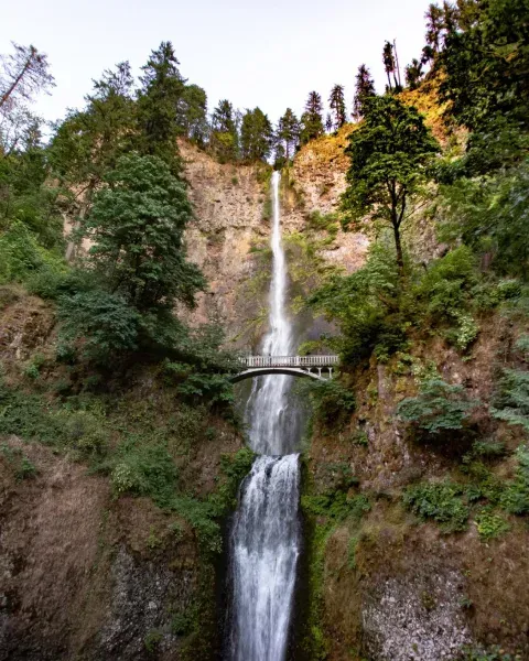 A waterfall in the middle of a forest with a bridge over it.