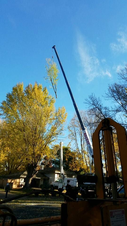 Crane lifting a large bell in a park under a clear blue sky, with autumn trees nearby