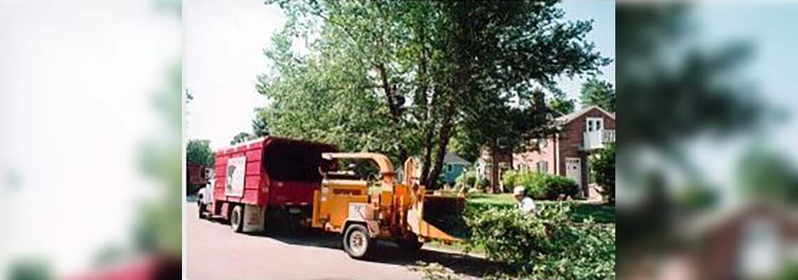 Orange utility truck removing tree debris beside a red truck on a residential street