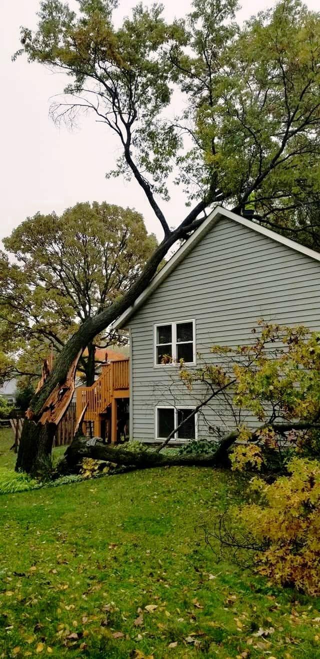 House with gray siding on a grassy slope, framed by tall trees and a leafy yard.