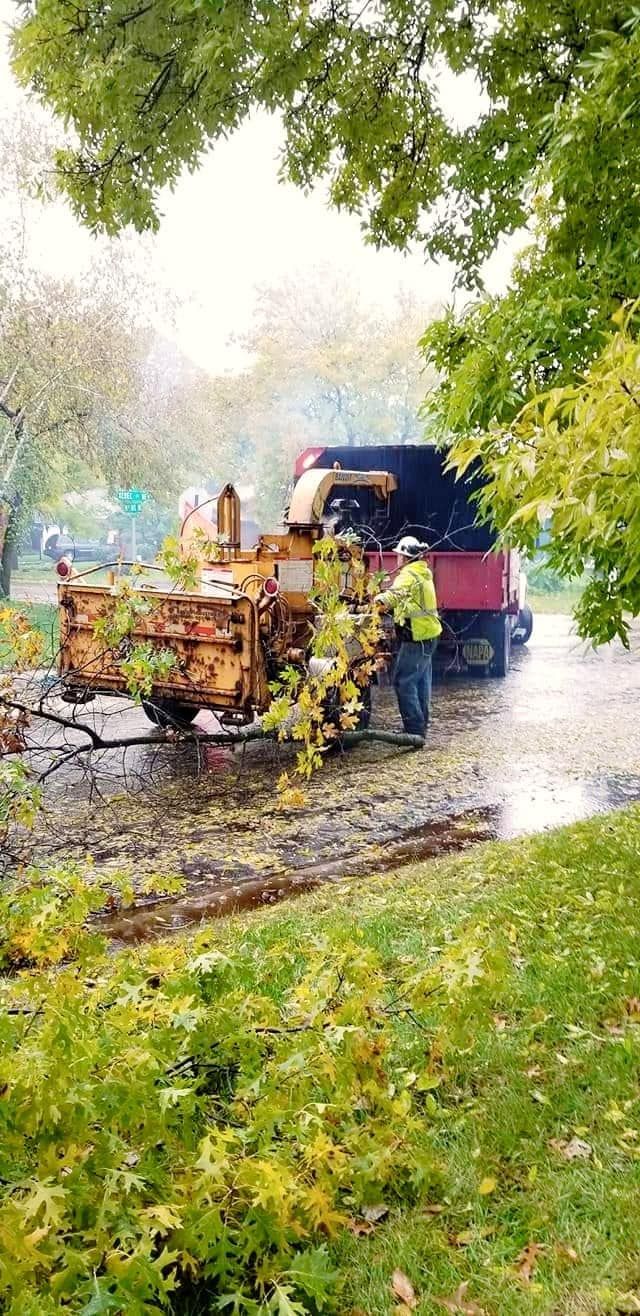 Workers loading a trailer on a rainy tree-lined street, with a dark truck parked beside them