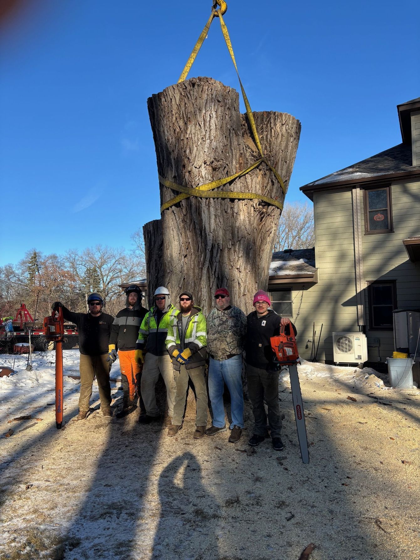 Workers posing beside a giant suspended tree stump on a construction site under a clear blue sky