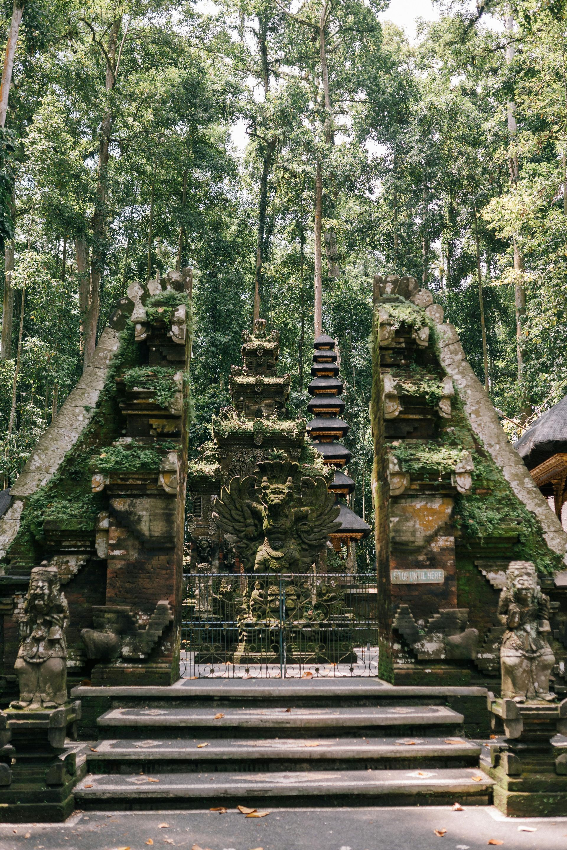 Stone temple entrance in a lush green forest, steps leading up to ornate structure.