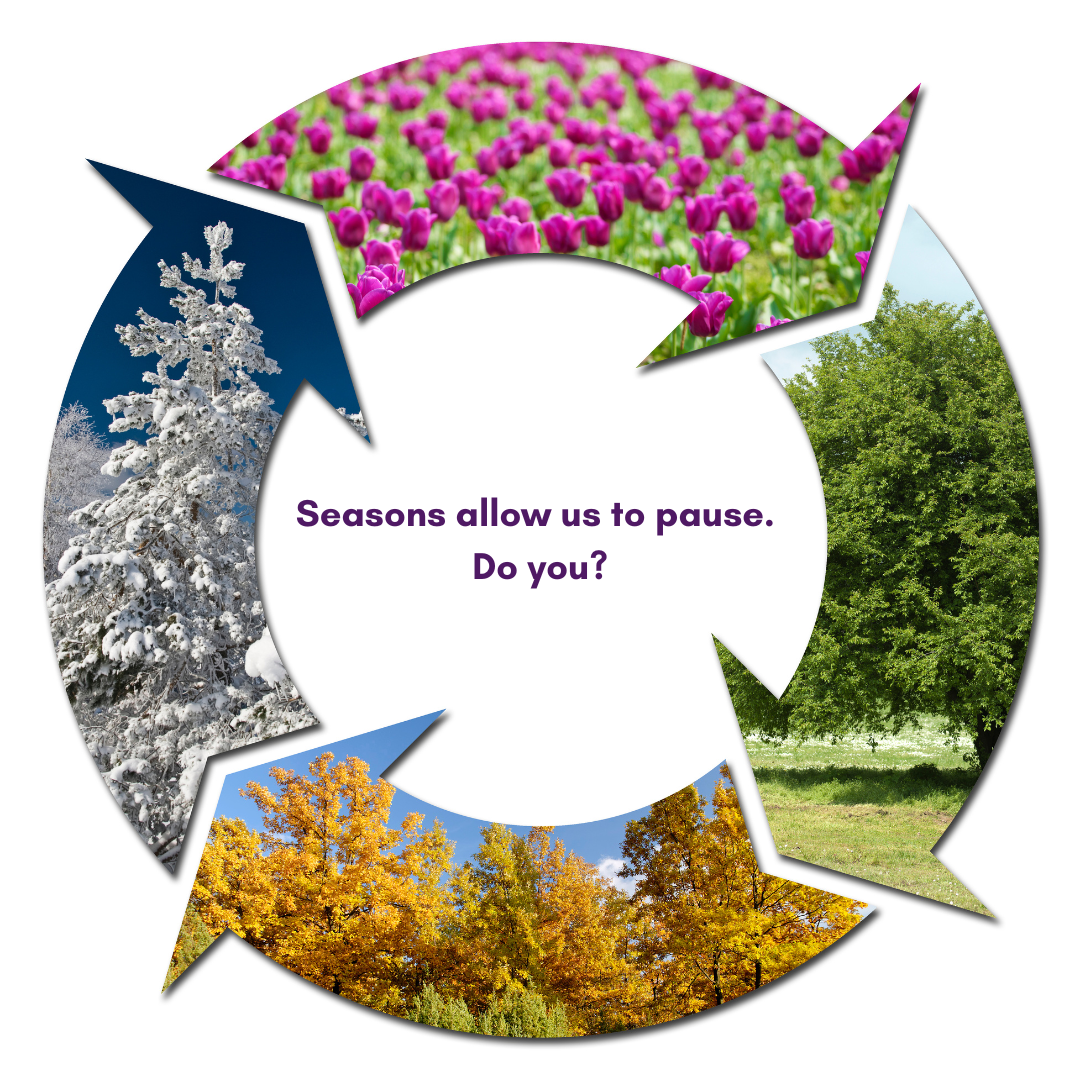 A circle with images of each of the four seasons.