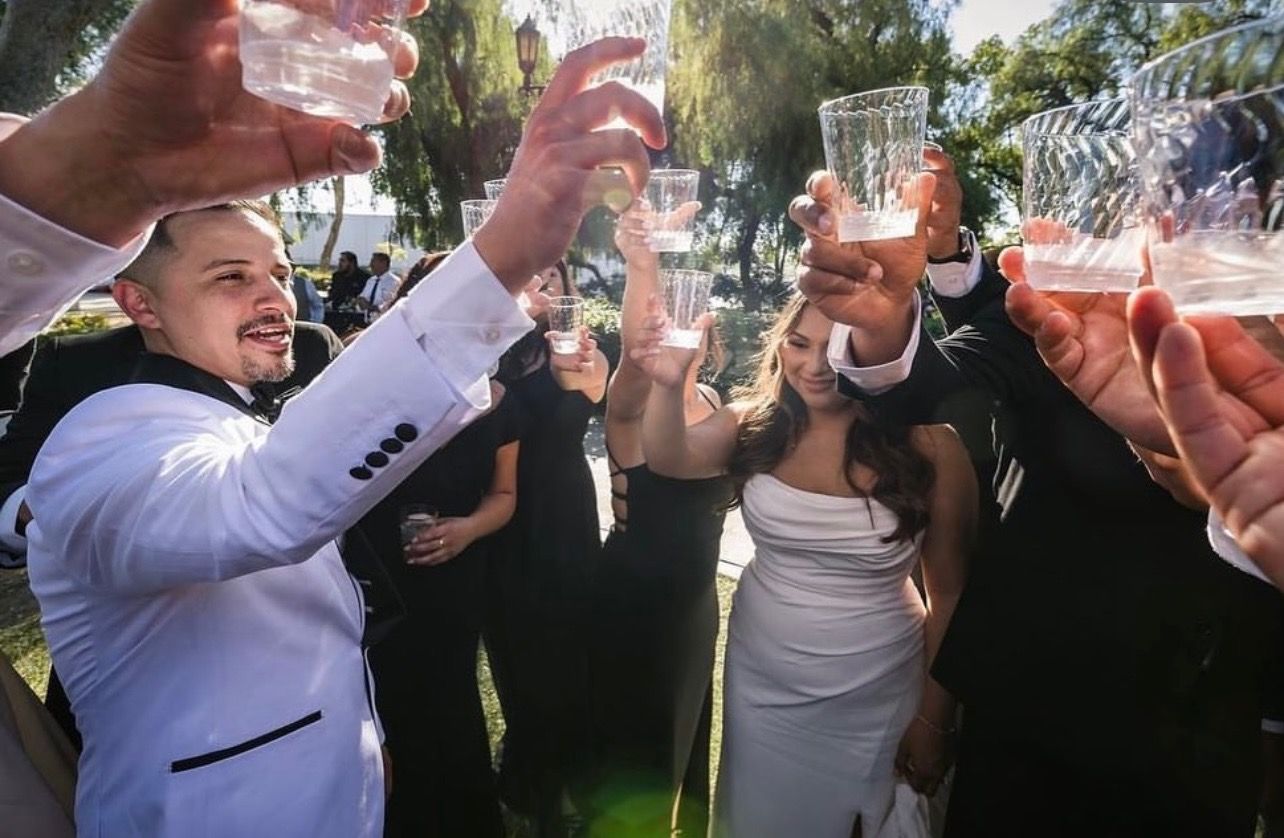People toasting with glasses at a wedding; a bride and groom are among them.