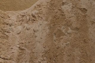 Concrete Sand (closeup) — Paver World — Freehold, NJ