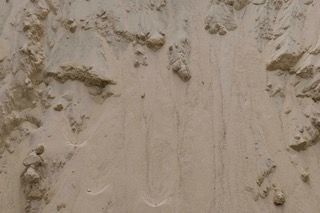 Mason Sand (closeup) — Paver World — Freehold, NJ