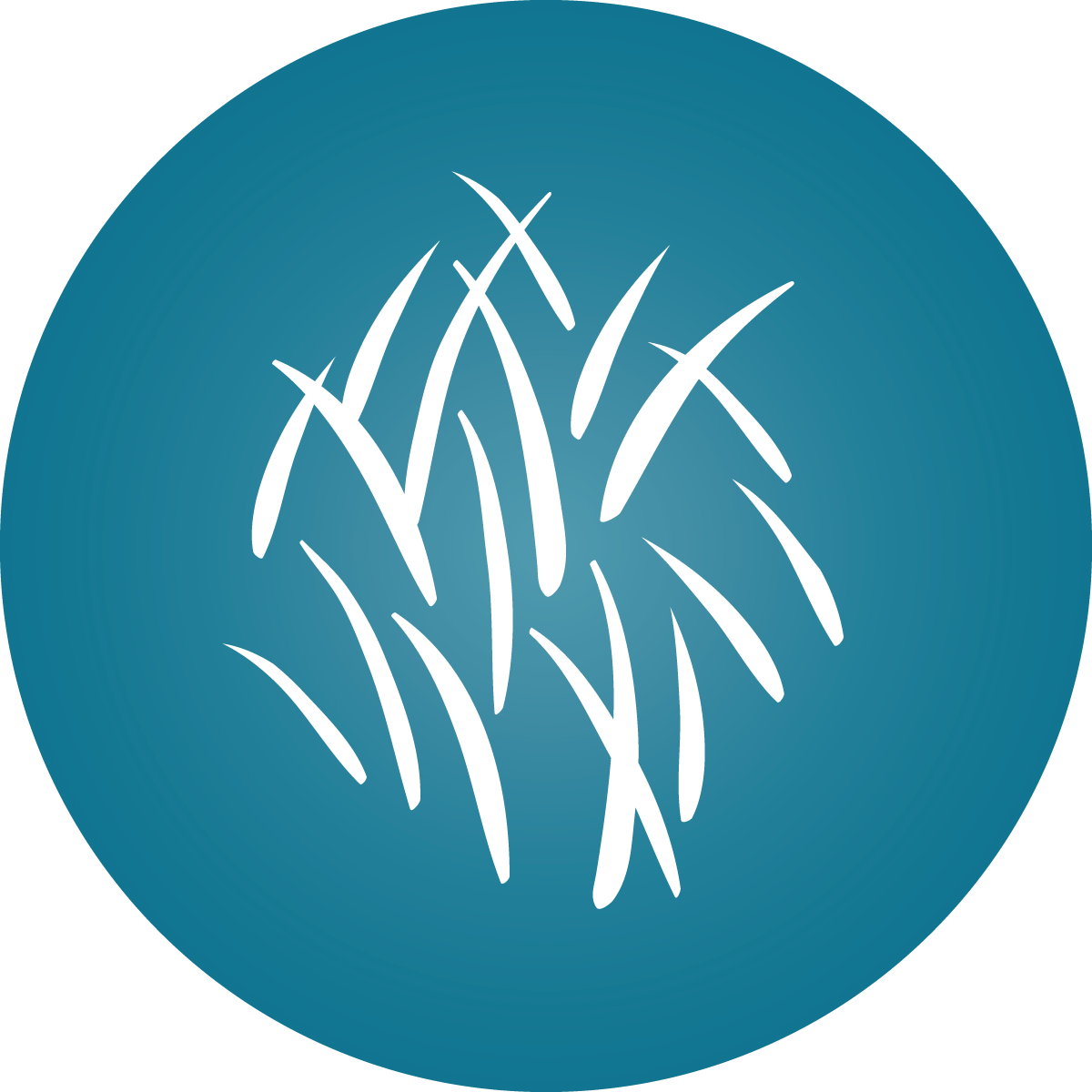 Healthy Skin Icon for Skin and Stress Chews by Cogent Pet Health
