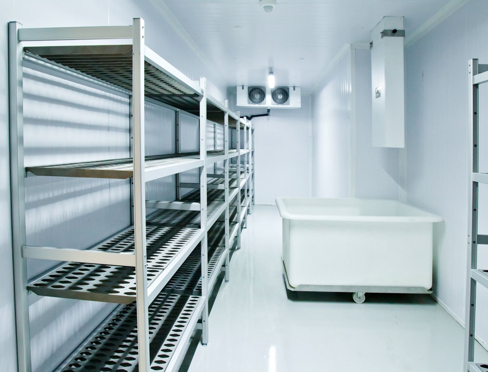 A room with a lot of shelves and a table