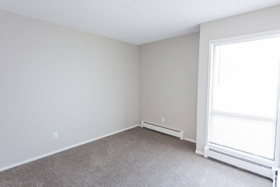 Empty beige room with carpet, a large window with blinds, and baseboard heater.