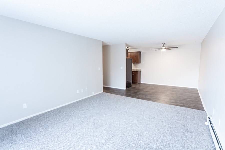 Open-concept living area in an apartment with carpet, adjacent kitchen, and neutral walls.