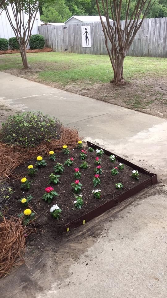 Focused On Lawn — Manning, SC — Total Lawn Care & Landscaping