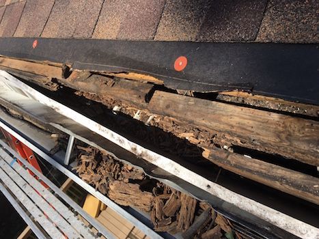 A roof with a gutter that is missing a piece of wood.