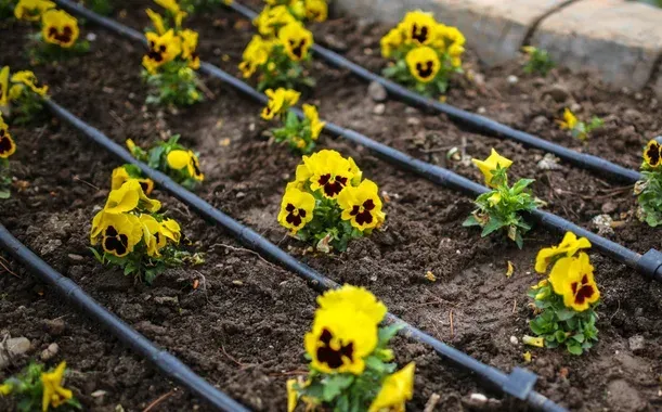 benefits of drip irrigation system pinehurst nc