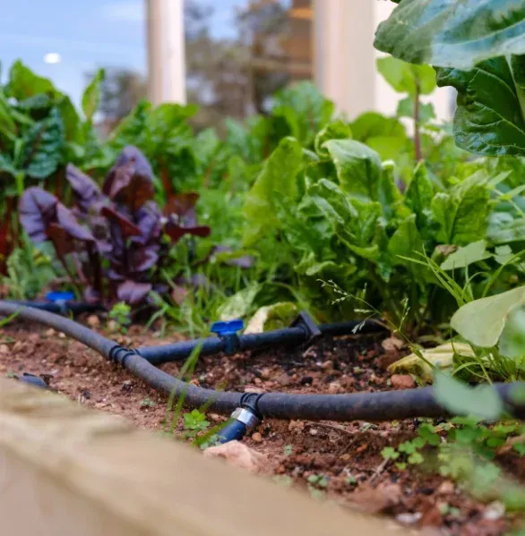 drip irrigation installation process pinehurst nc