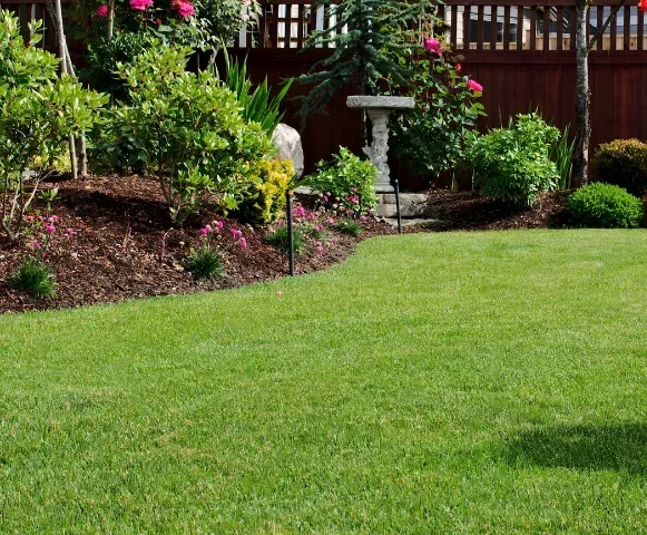 landscape cleanup team in pinehurst nc