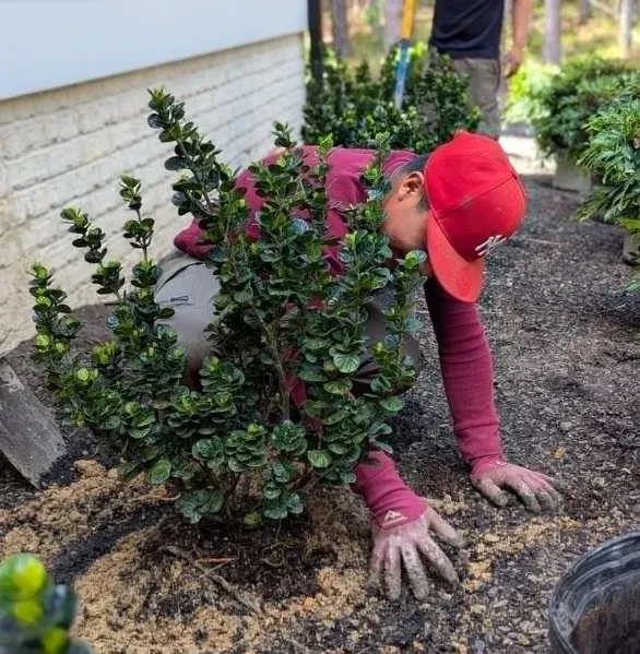 landscape build solutions in pinehurst nc