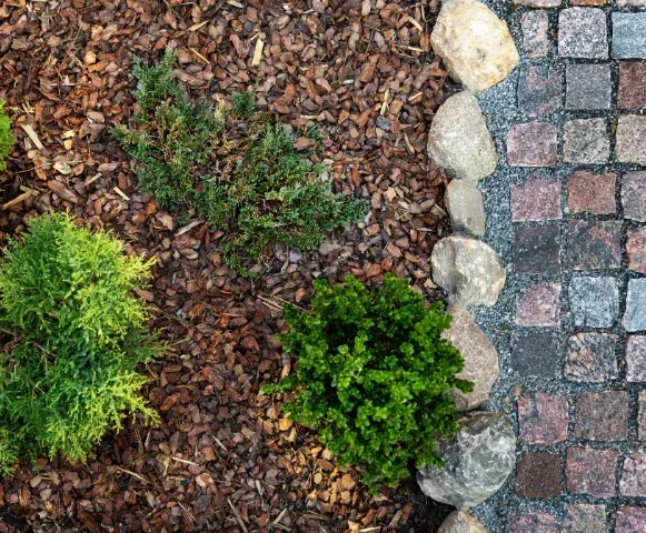 landscape mulch advantages