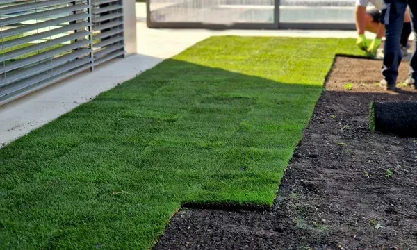 landscaping company in carthage nc