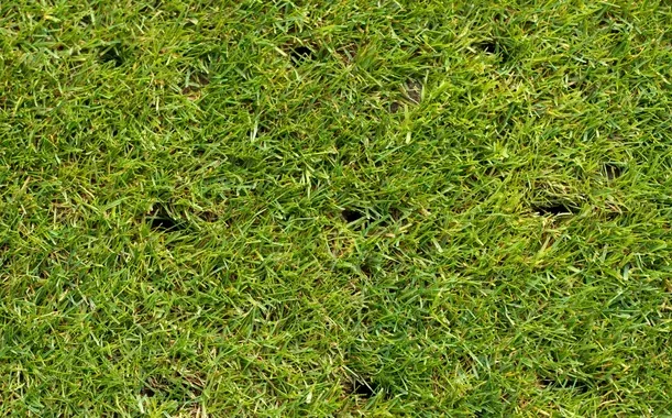 lawn aeration benefits in pinehurst nc