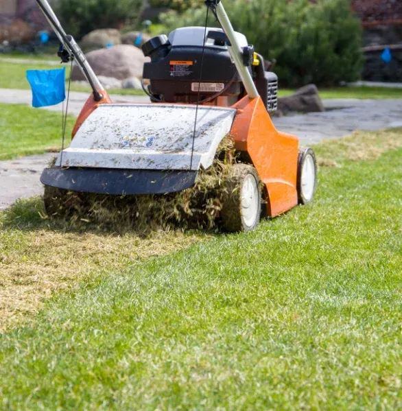 lawn core aeration process in pinehurst nc