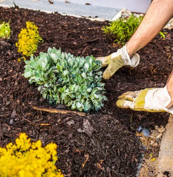 mulch installers in pinehurst nc