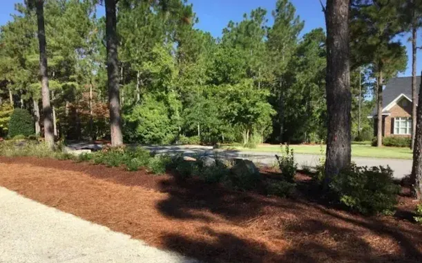 mulch replacement in pinehurst nc