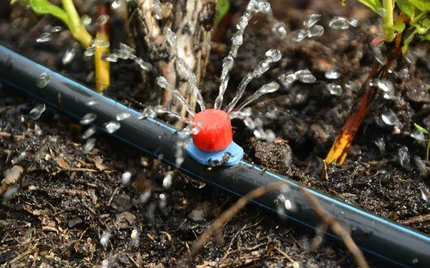 professional drip irrigation installers pinehurst nc