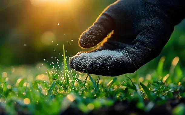 professional lawn fertilization pinehurst nc