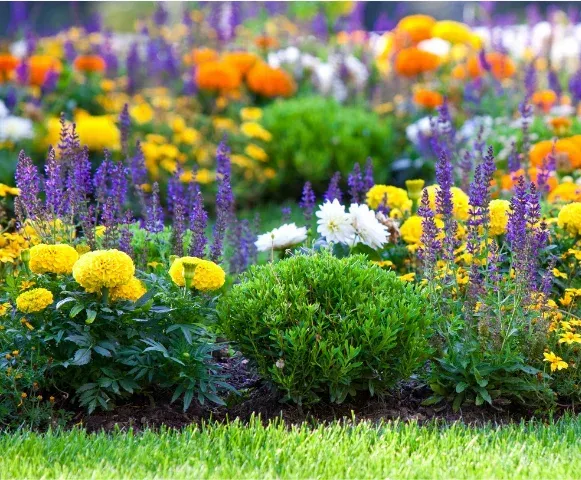 seasonal annual planting service in pinehurst nc